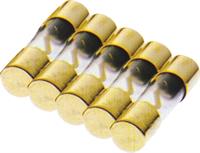 Fusibile linea AGU 40 ampere Conf.5 pz
