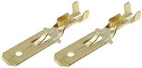 Faston maschio c/dentino ritenuta 6,3 mm busta 50 pz