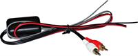 Riduttore di segnale BTL/PRE out RCA